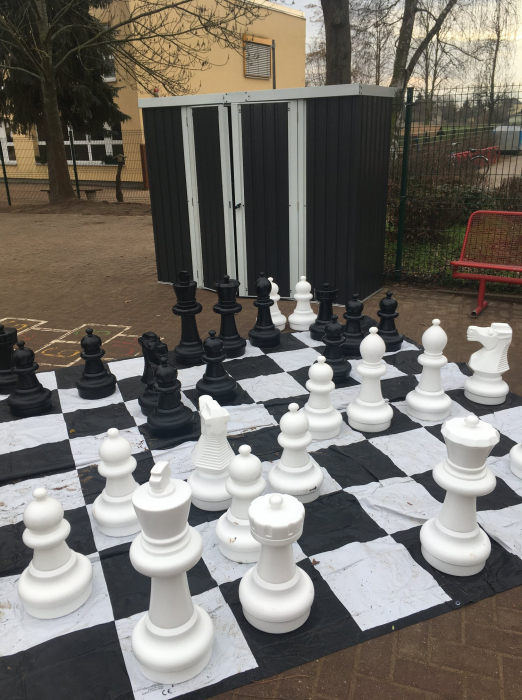 schach1.jpg