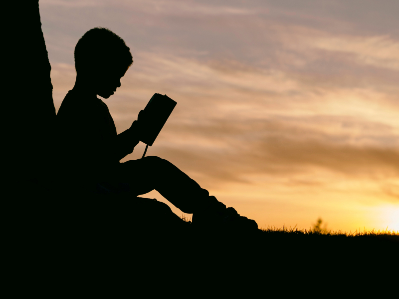 lesen.jpg lesen.jpg